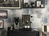 Gaggia Classic GT Prosumer - Inox